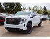 2025 GMC Sierra 1500 Elevation (Stk: 51161-new) in Edmonton - Image 2 of 12