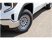 2025 GMC Sierra 1500 Pro (Stk: 51164-new) in Edmonton - Image 6 of 12