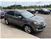 2019 Ford Edge SEL (Stk: 24418) in Pembroke - Image 8 of 32