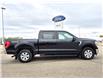 2021 Ford F-150 XLT (Stk: U96654) in Hague - Image 1 of 14