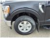 2021 Ford F-150 XLT (Stk: U96654) in Hague - Image 9 of 14
