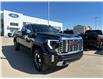 2024 GMC Sierra 2500HD Denali (Stk: F00061) in Prince Albert - Image 3 of 15