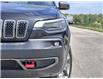 2019 Jeep Cherokee Trailhawk (Stk: DS25263A) in Stratford - Image 2 of 17