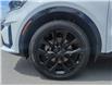 2021 Kia Sorento 2.5T SX w/Black Leather (Stk: A2684) in Victoria, BC - Image 19 of 26