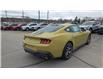 2025 Ford Mustang GT Premium (Stk: MU504) in Miramichi - Image 6 of 12