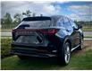 2022 Lexus NX 350 Base (Stk: 250916A) in Calgary - Image 3 of 23