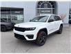 2025 Jeep Grand Cherokee Limited (Stk: H22760) in Newmarket - Image 3 of 14