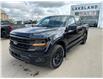 2025 Ford F-150 XLT (Stk: 25-0263) in Prince Albert - Image 13 of 28