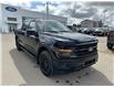 2025 Ford F-150 XLT (Stk: 25-0263) in Prince Albert - Image 15 of 28