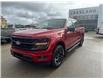 2025 Ford F-150 XLT (Stk: 25-0265) in Prince Albert - Image 13 of 29