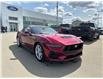 2025 Ford Mustang  (Stk: 25-0329) in Prince Albert - Image 6 of 17