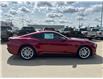 2025 Ford Mustang  (Stk: 25-0329) in Prince Albert - Image 11 of 17