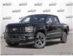 2025 Ford F-150 STX (Stk: FH193) in Sault Ste. Marie - Image 1 of 21