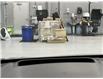 2022 Lexus NX 350 Base (Stk: 14110317A) in Markham - Image 16 of 32