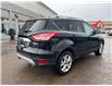 2014 Ford Escape Titanium (Stk: UPN144A) in Cold Lake - Image 3 of 17