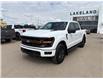 2025 Ford F-150 Tremor (Stk: 25-0248) in Prince Albert - Image 3 of 17