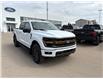 2025 Ford F-150 Tremor (Stk: 25-0248) in Prince Albert - Image 5 of 17