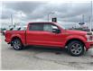 2018 Ford F-150  (Stk: DZ562A) in Ottawa - Image 3 of 16