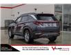 2024 Hyundai Tucson Trend (Stk: AQ1033A) in Calgary - Image 8 of 37