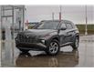 2024 Hyundai Tucson Trend (Stk: AQ1033A) in Calgary - Image 2 of 37