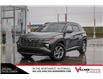 2024 Hyundai Tucson Trend (Stk: AQ1033A) in Calgary - Image 1 of 37