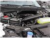 2025 Ford F-150 XLT (Stk: XFP670) in Sarnia - Image 6 of 23