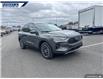 2025 Ford Escape PHEV (Stk: 27204) in Dartmouth - Image 6 of 24