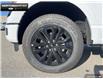 2025 Ford F-150 XLT (Stk: 5F102152) in Brantford - Image 6 of 23