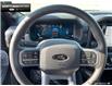 2025 Ford F-150 Lariat (Stk: 5F168678) in Brantford - Image 12 of 23