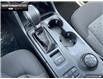2025 Ford Ranger XLT (Stk: 5RG09507) in Brantford - Image 15 of 22