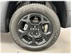 2023 Jeep Compass Trailhawk (Stk: 300635) in Lethbridge - Image 11 of 29