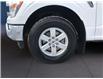 2022 Ford F-150  (Stk: 11954) in Golden - Image 16 of 17