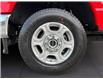 2025 Ford F-250  (Stk: 12030) in Golden - Image 15 of 16