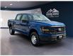 2025 Ford F-150 XL (Stk: 12001) in Golden - Image 3 of 17