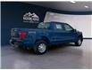 2025 Ford F-150 XL (Stk: 12001) in Golden - Image 5 of 17