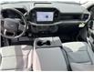 2025 Ford F-150 XL (Stk: 12001) in Golden - Image 12 of 17