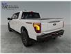 2025 Ford F-150 Tremor (Stk: S9678) in ROSETOWN - Image 5 of 17