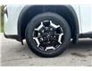 2025 Nissan Rogue Midnight Edition (Stk: 1257BNN) in Owen Sound - Image 12 of 13