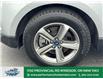 2022 Ford Edge  (Stk: PR13019) in Windsor - Image 2 of 28
