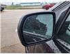 2020 Ford Edge ST (Stk: N240659B) in Stony Plain - Image 6 of 50