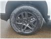 2025 Chevrolet Silverado 1500 LT Trail Boss (Stk: N250527) in Stony Plain - Image 5 of 50