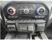 2020 GMC Sierra 1500 AT4 (Stk: N250345A) in Stony Plain - Image 40 of 50