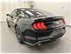 2019 Ford Mustang EcoBoost (Stk: 37557) in Lethbridge - Image 4 of 24