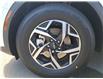 2025 Kia Sportage LX (Stk: SP25-511) in Victoria, BC - Image 18 of 24