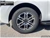 2025 Ford Expedition Max Active (Stk: 5EP4483) in Brantford - Image 6 of 23