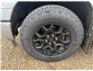 2025 Ford F-150 XLT (Stk: 25DFT053) in Drayton Valley - Image 14 of 14