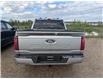 2025 Ford F-150 XLT (Stk: 25DFT053) in Drayton Valley - Image 5 of 14