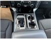 2025 Ford F-150 XLT (Stk: 25DFT053) in Drayton Valley - Image 13 of 14