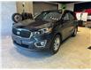 2018 Kia Sorento 2.4L LX (Stk: 5C558A) in Miramichi - Image 1 of 8