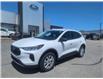 2025 Ford Escape Active (Stk: ES533) in Miramichi - Image 1 of 13